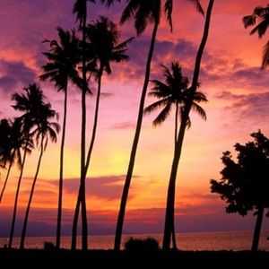 Meet your Posher, Alesia